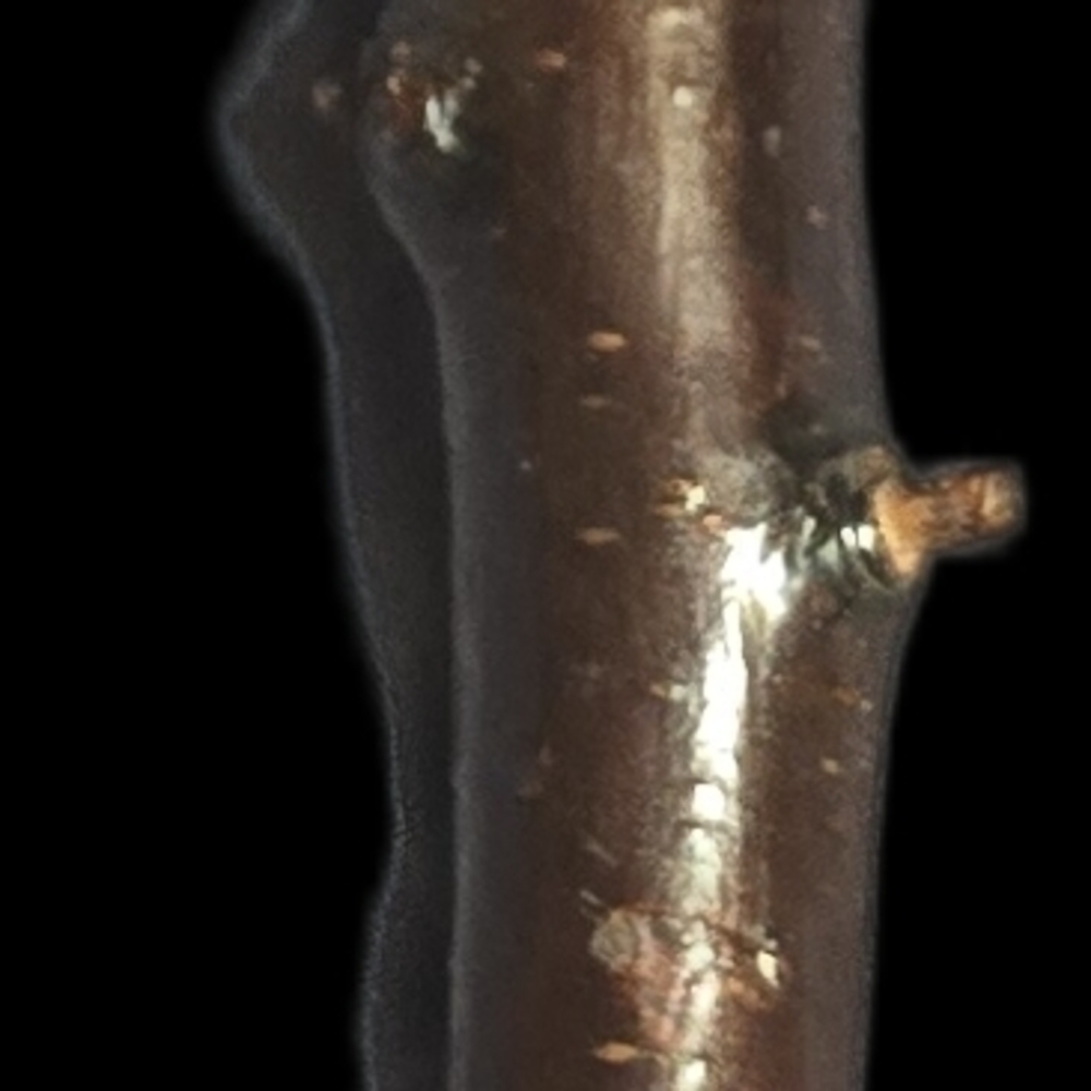 Authentic Blackthorn Walking Stick - Picture 3 of 3